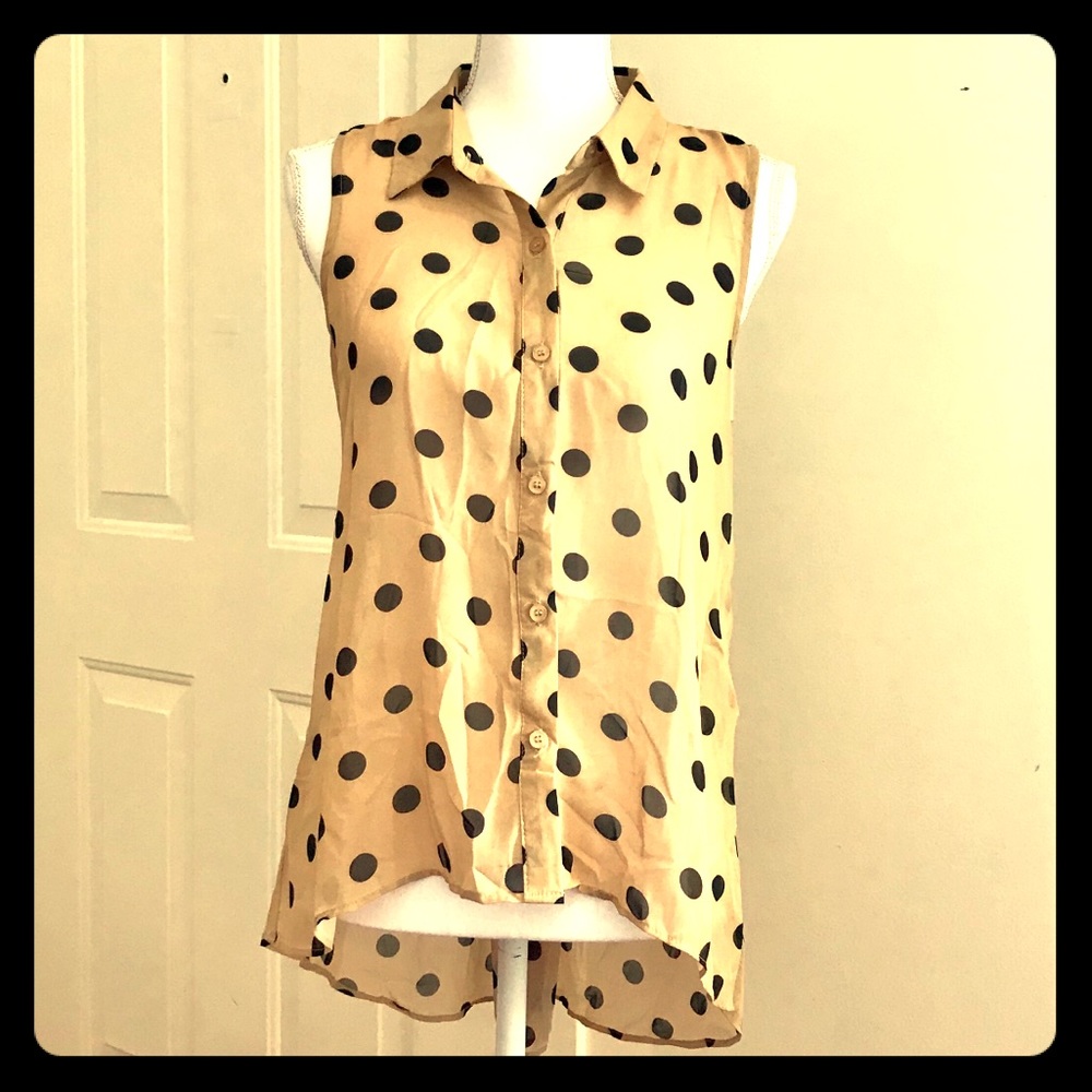 Sans Souci sleeveless sheer blouse